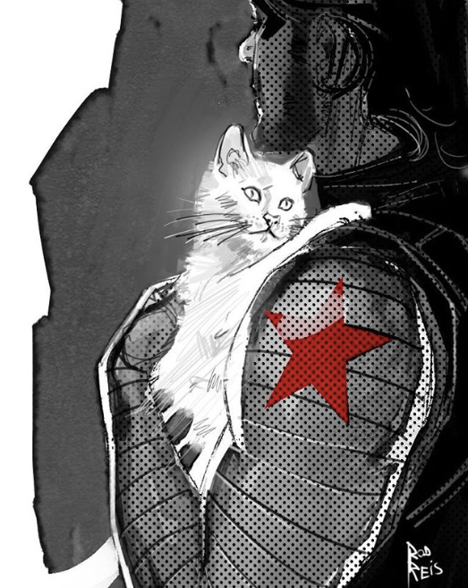 Bucky